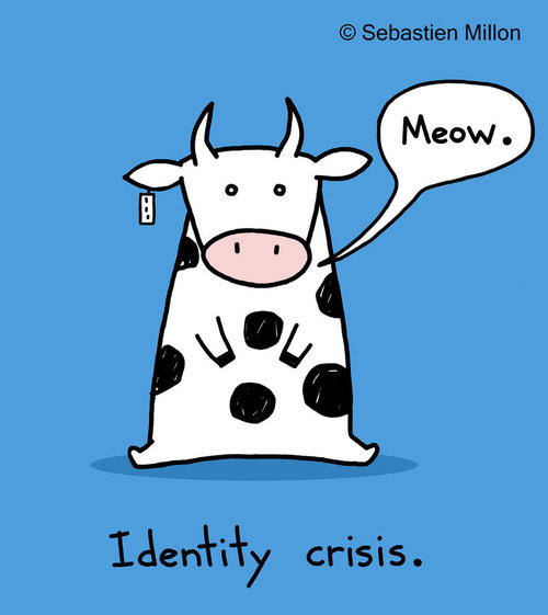identity_crisis_by_sebreg-d4952z5_large.jpg